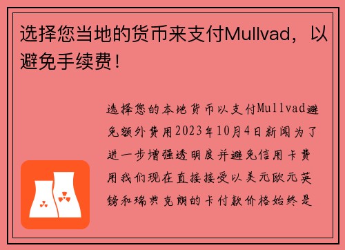 选择您当地的货币来支付Mullvad，以避免手续费！